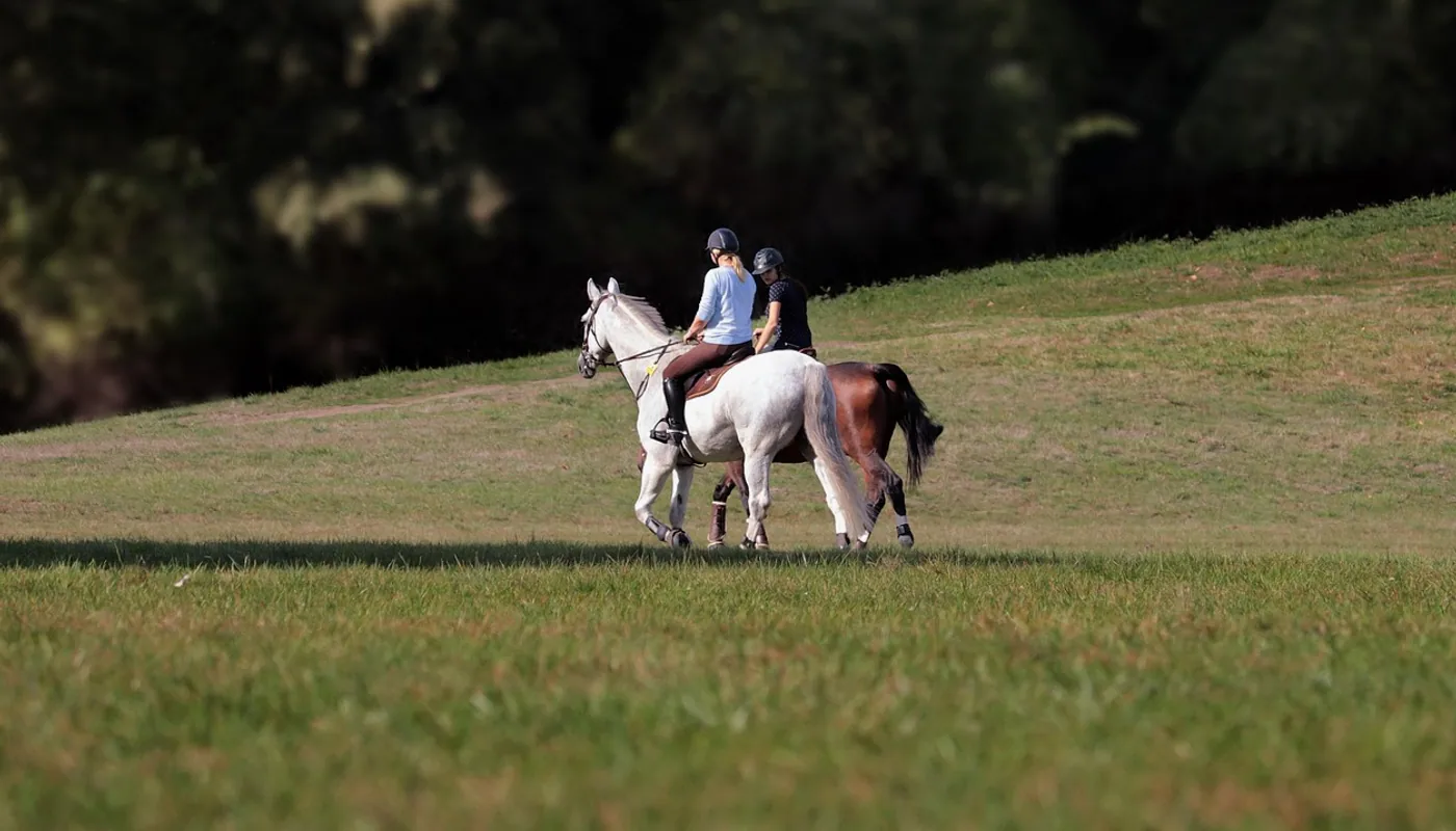 Ride out, horse riding and equestrian