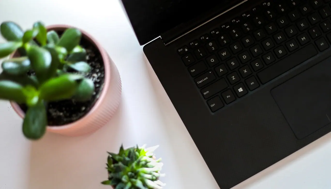 Laptop, plant and desk