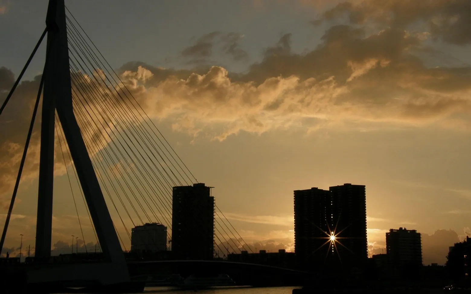Rotterdam, erasmus bridge and port