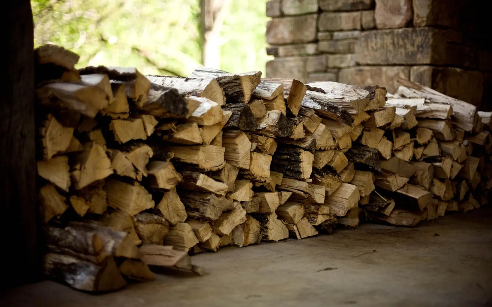 Firewood, logs and wood